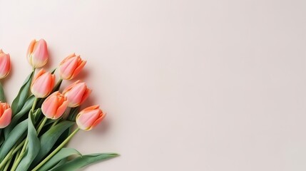 light coral peach color tulips flowers bouquet spring floral banner space for text copyspace - obrazy, fototapety, plakaty