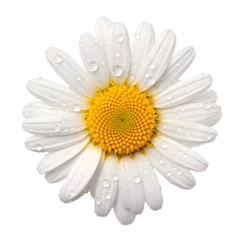 Badezimmer Foto Rückwand a close up of a flower © ion