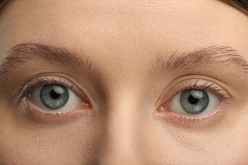 Fototapeta premium Woman with beautiful natural eyelashes, closeup view