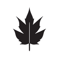black and white leaf  Silhouette