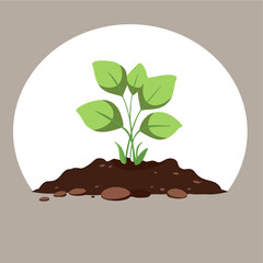 plant growing in the ground vector
