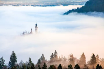 Afwasbaar Fotobehang Mistig bos amazing sunrise at lake Bled from Ojstrica viewpoint, Slovenia, Europe - travel background