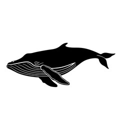a black whale with white lines