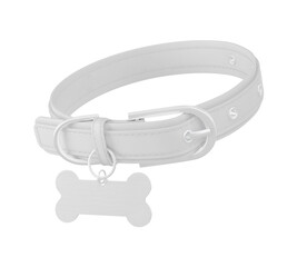 Dog Collar and Tag on white background