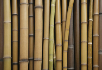 Fototapeta premium Bamboo stem wall