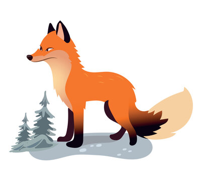 Fox of colorful set. This delightful image of a fox is a perfect blend of design and personality, highlighted on a crisp white background. Vector illustration.