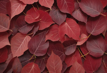 Autumn Leaves Texture Background in Wine Red