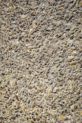 Pebbles are scattered throughout the wall's background