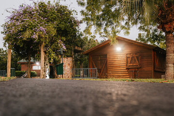 Fototapete bei efototapeten.de bestellen   