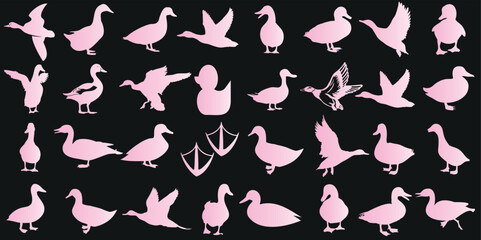 Pink Duck Vector Art isolated on Black Background. the ducks are Ideal for modern wallpaper, fabric design, and wrapping paper. Trendy animal print, perfect for nursery decor and kid’s room