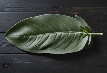 Sage leaves on rustic table, culinary setting, blank space for text
