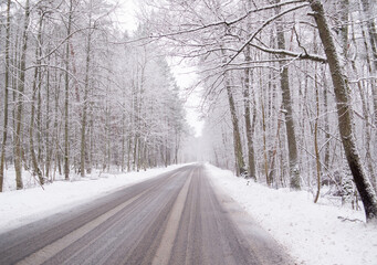 Snowy road in the forest.