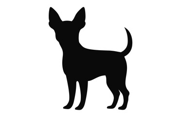 A Chihuahua Dog vector black Silhouette isolated on a white background