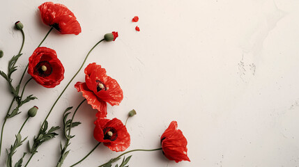 Red Poppies Top View, Vintage Style Poppy Flowers, Elegant Floral Arrangement on White,red poppies on a white background, Copyspace for text