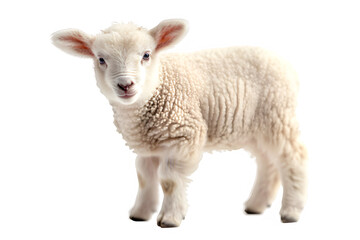 side view of sheep isolated on transparent background ,generative ai