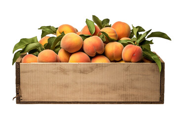 cardboard box with peaches on white background PNG