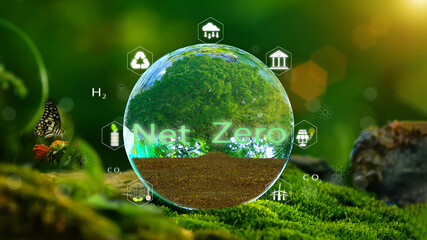 Net zero and carbon neutral concept.Crystal ball with trees and energy icons. Net Zero. Global...