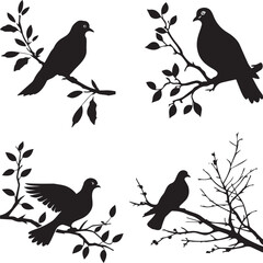Set of Dove on branch silhouette white background 