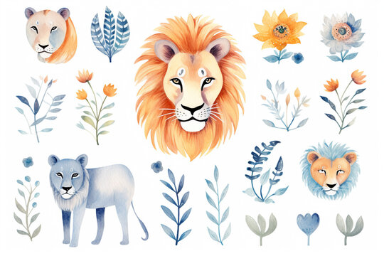 Set Of Watercolor paintings Lion on white background. 