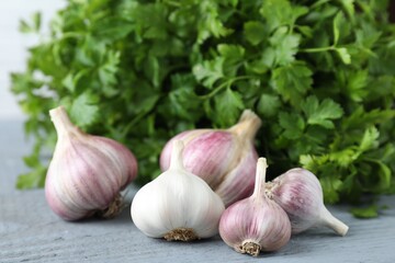 Fresh raw garlic and parsley on grey wooden table, closeup