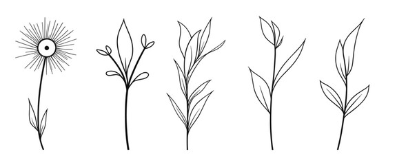 Naklejka premium Editable Black and White Leaf Branch with flower Spring Illustration, Line Art: Trendy Greenery Outline, Hand Drawn Sketches