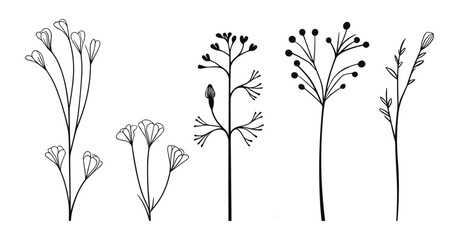 Spring Floral and Leaf Line Art: Elegant Botanical Flowers Vector Set. Sketch Elements, and Botanical Art Illustrations