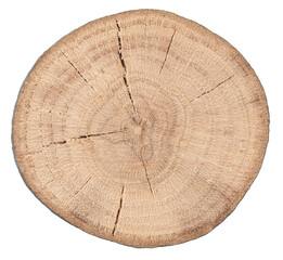 Wood slice cross section isolated on transparent background