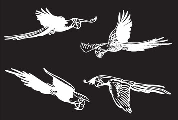 Graphical set of birds isolated on black , vector parrots flying	
