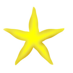 Obraz premium Starfish