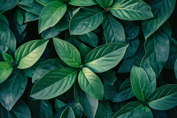 Botanical Bliss: Intricate Green Leaf Decor