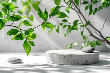 Ingelijste posters zen stones and plant mock up © lc design