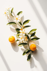 Orange fruit and flowers on a white background.Minimal concept.