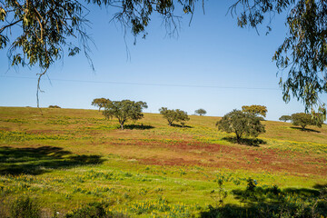Beautiful landscape of Alentejo and famous national road N2,  south of Portugal