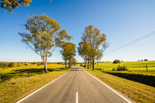 Beautiful landscape of Alentejo and famous national road N2,  south of Portugal