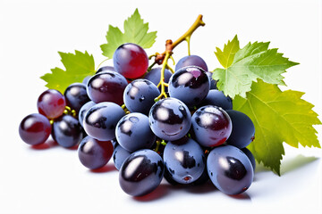 Blue wet grapes bunch isolated on white background