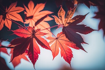 Naklejka na ściany i meble red maple leaves on the ground