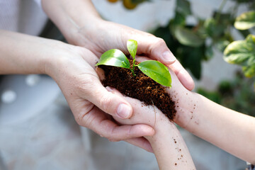 Tu Bishvat Day and the global concept of environmental protection. Adult and child are holding...