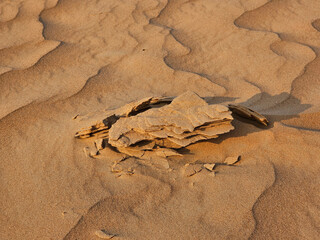 Desert sand texture with line pattern top view Spring sunset gates Sahara desert, with the sand dunes illuminated golden light, Africa tax image isolated Nice background display Beautiful colourful HD