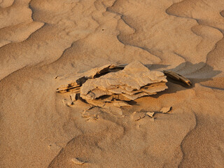 Desert sand texture with line pattern top view Spring sunset gates Sahara desert, with the sand dunes illuminated golden light, Africa tax image isolated Nice background display Beautiful colourful HD