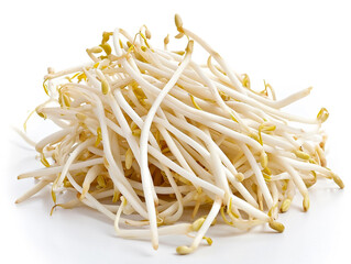 Bean sprout isolated on white background. Minimalist style.