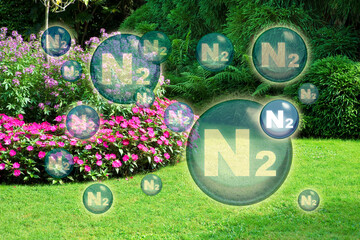 Nitrogen the most important fertilizer for the lawn - concept with nitrogen molecules against a natural rural scene - obrazy, fototapety, plakaty