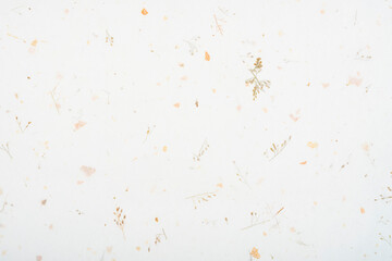 Mulberry paper texture background - obrazy, fototapety, plakaty