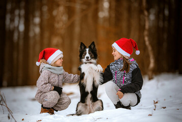 Dzieci przytulają psa border collie, który wykonuję sztuczkę w zimowym lesie