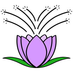 Obraz premium Flower Fireworks