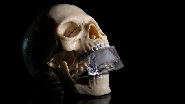 Problems of world melting time. A view of human skull with ice cube in mouth on the black background. A concept of the end of glacial period in the world.