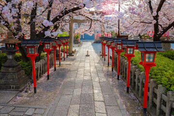 Rokusonno shrine built in 963, enshrines MInamota no Tsunemoto the 6th grandson of Emperor Seiwa. It's one of the best cherryblossom viewing spots in Kyoto