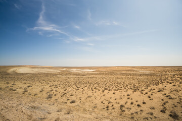 Fototapeta na wymiar Hot summer Kyzylkum desert in Uzbekistan on a sunny day
