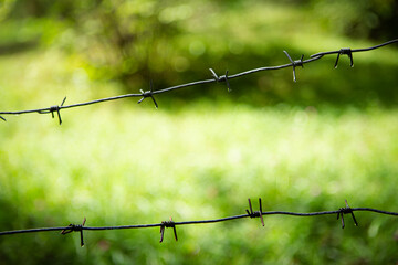 old metal wire on green grass background.