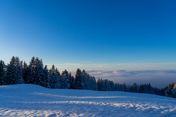 wide winter mountain landscape with snow covered trees above the fog clouds