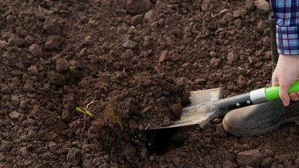 Farmer, gardener, man, woman in rubber boots dig earth with shovel in garden, in field, on farm....